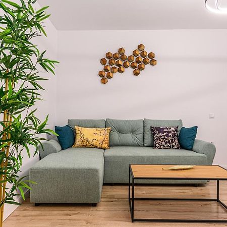 Schei Gate Apartment Braşov Dış mekan fotoğraf