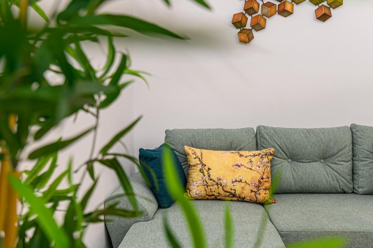 Schei Gate Apartment Braşov Dış mekan fotoğraf