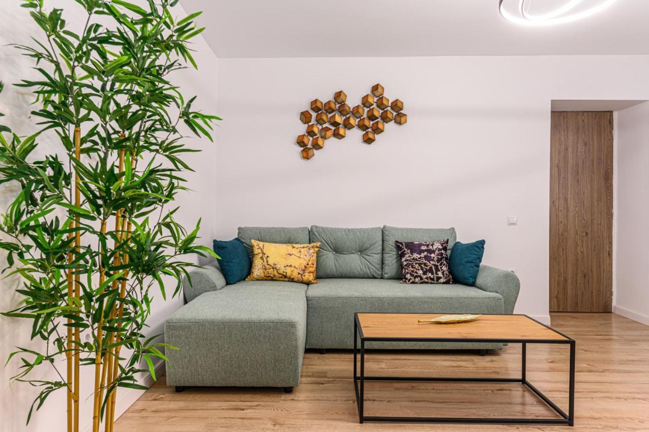 Schei Gate Apartment Braşov Dış mekan fotoğraf