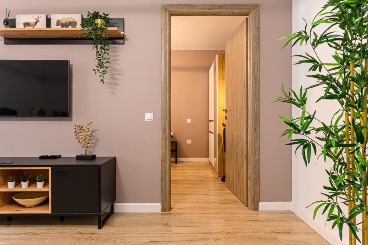 Schei Gate Apartment Braşov Dış mekan fotoğraf